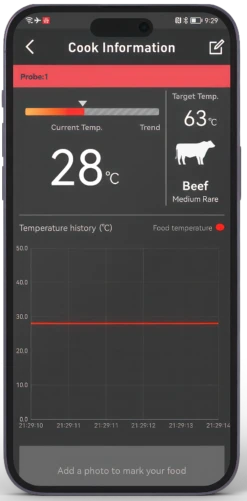 HerQs Pin Pro Thermometer -Kamado Joe Winkel image 120